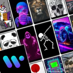تحميل تطبيق خلفيات الشاشة Walli Premium مهكر Apk للاندرويد اخر اصدار 2026 مجاناً