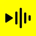 Reelsapp